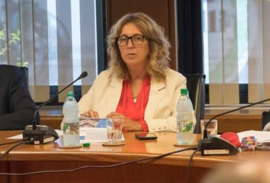 diputada Cecilia Bottino