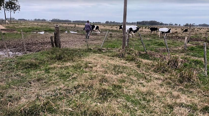 Trabajadores rurales