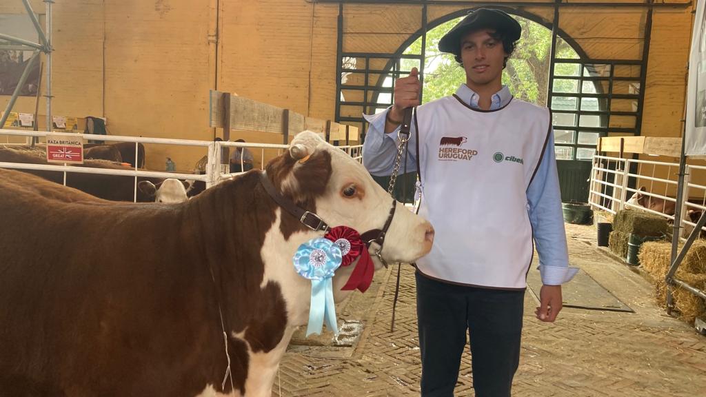 Animales premiados con las cocardas correspondientes