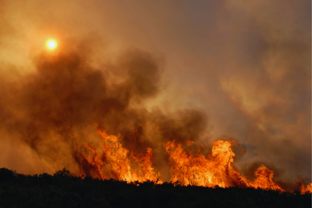 El asesor del Inumet, Mario Bidegain, manifestó que parte del territorio nacional se encuentra en una "situación extrema, en rojo, y algunas regiones en condiciones naranja" por lo que reiteró que las probabilidades de la generación de incendios forestales son altas. 