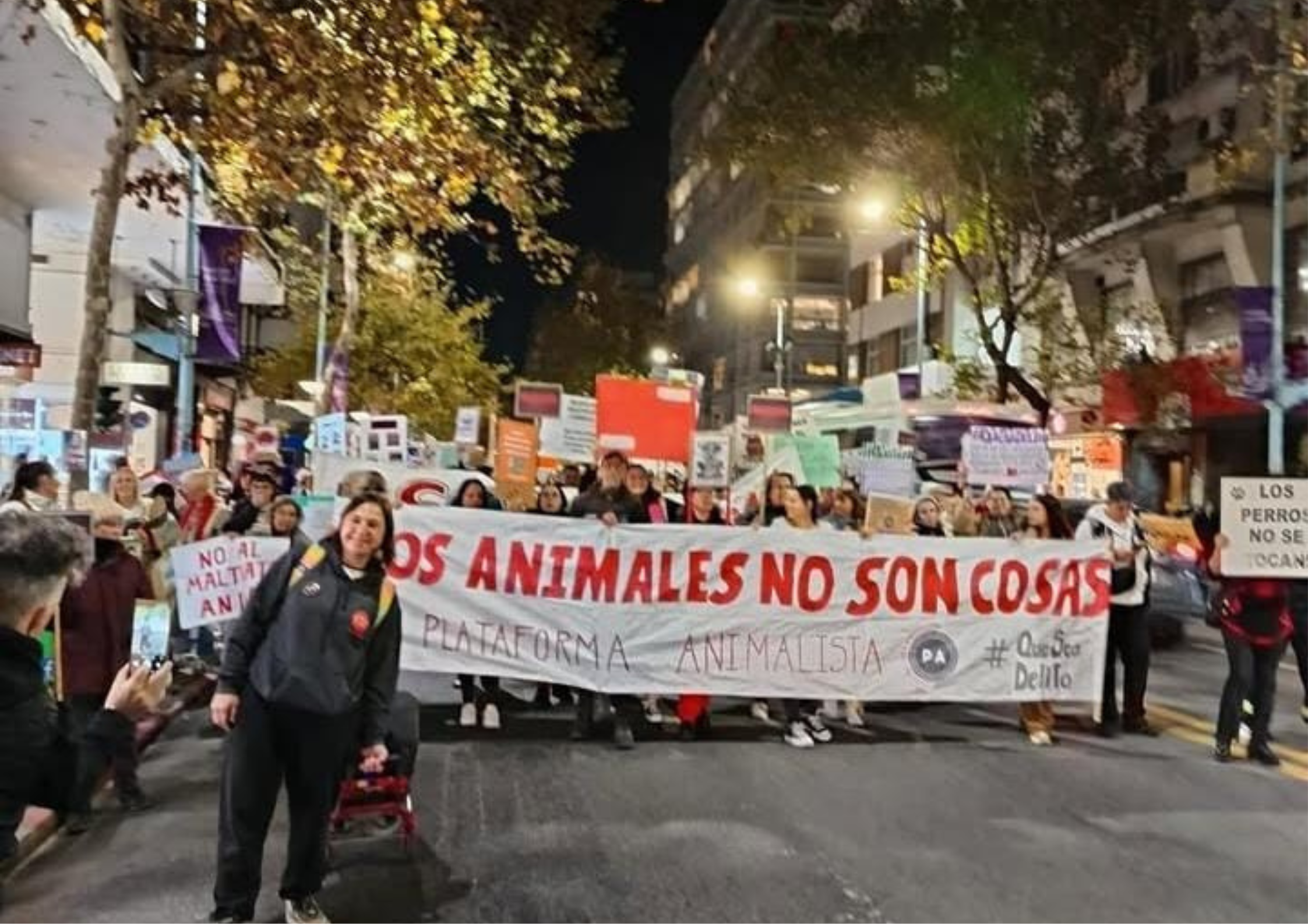 Una de las movilizaciones de las asociaciones en defensa de los animales