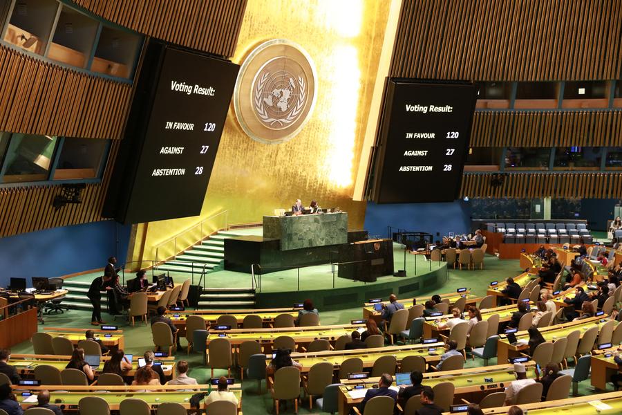 Asamblea General de las Naciones Unidas