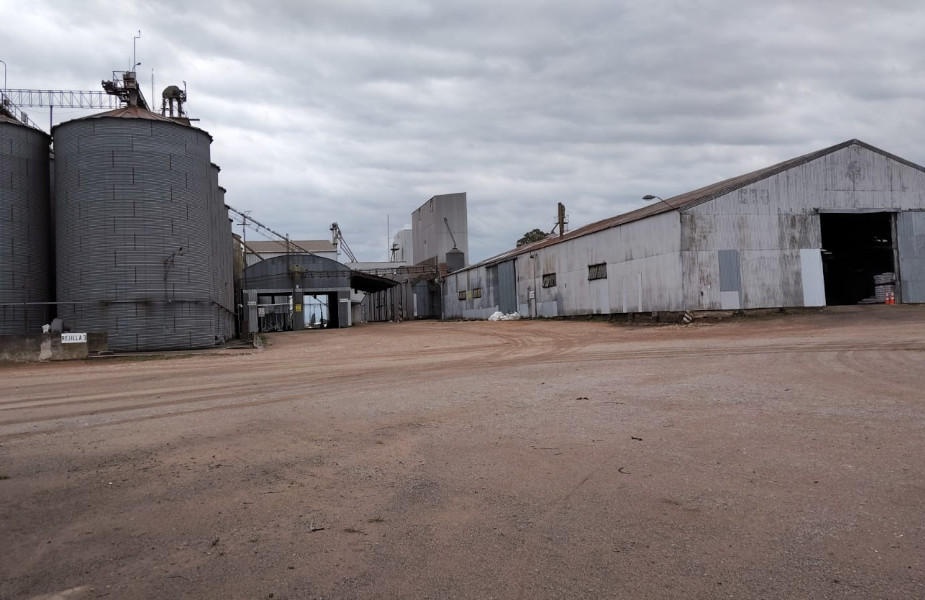 Planta de silos de Copagran en Yung