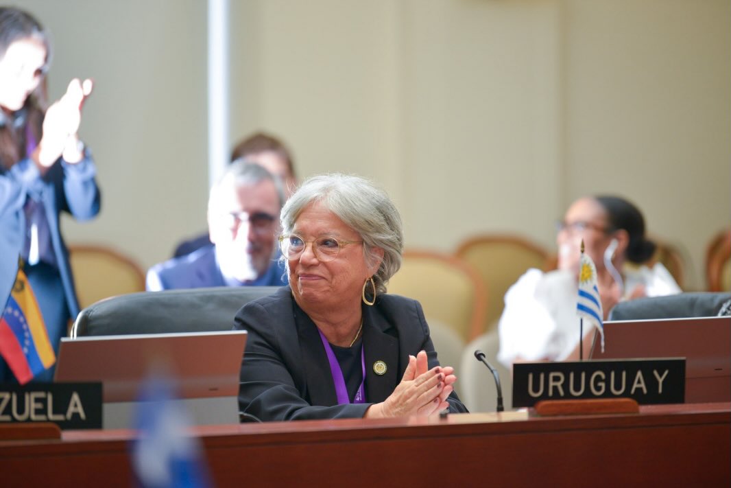 La directora de Inmujeres encabezará la Comisión Interamericana de Mujeres entre 2026 y 2029. Es la primera vez que una representante uruguaya asume la conducción del principal organismo hemisférico dedicado a los derechos de las mujeres y la igualdad de género.