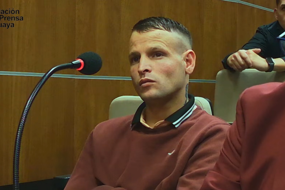 El caso tomó un giro político con el pedido de indulto en el Parlamento. ¿Existe el riesgo de una politización de la justicia?