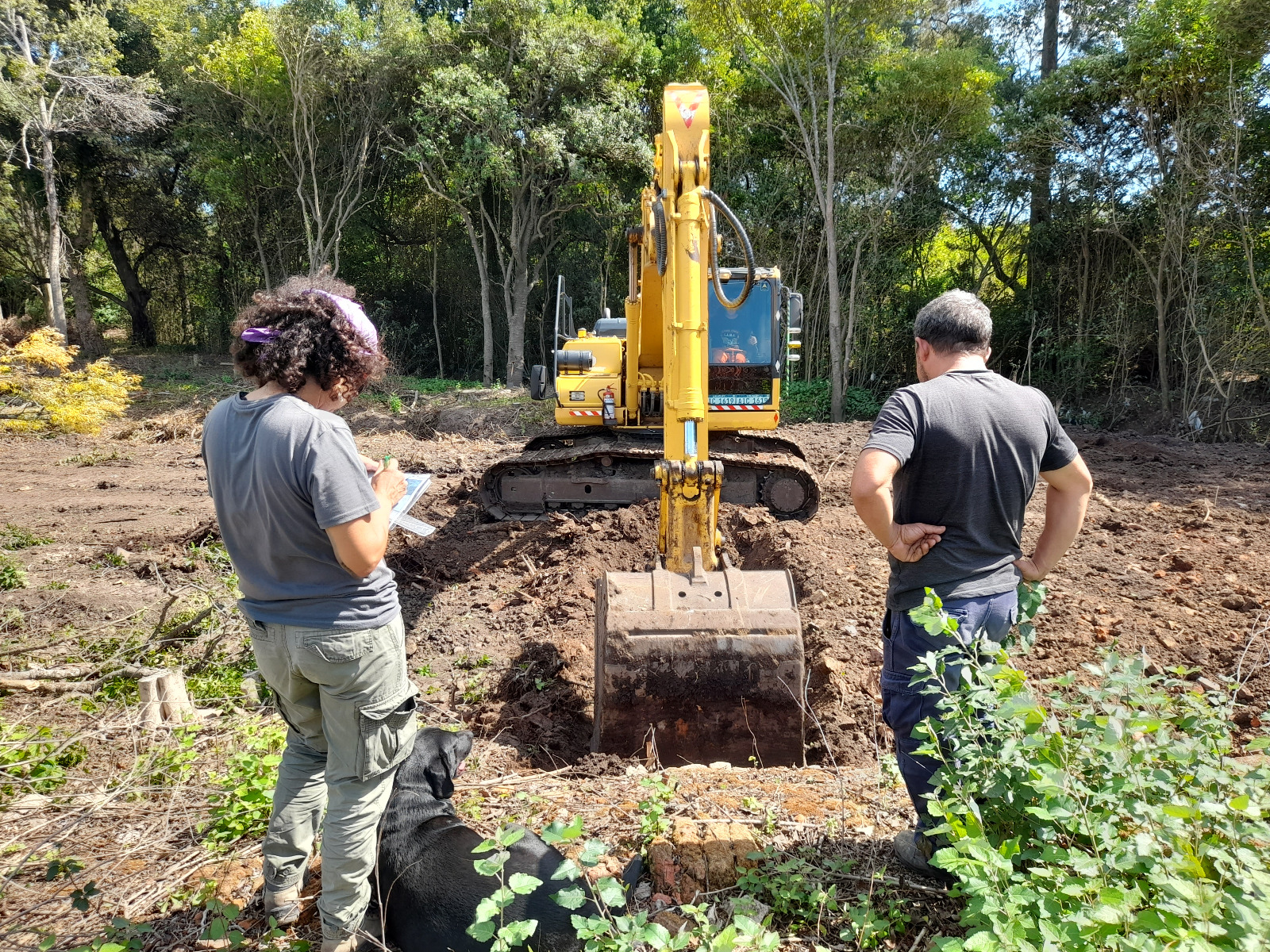Trabajo con retroexcavadora