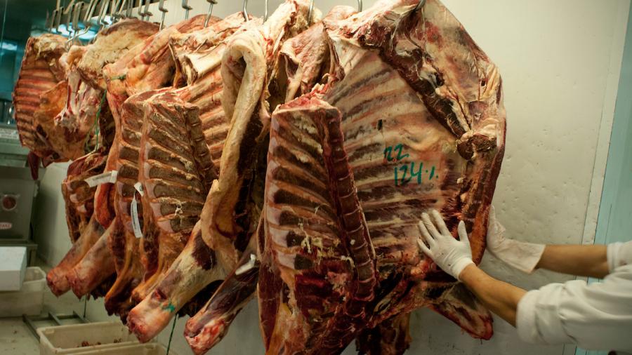 Carne bobina faenada