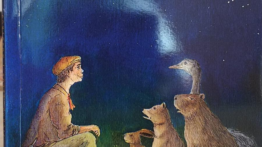 Portada del libro BICHOS ELLOS Y NOSOTROS