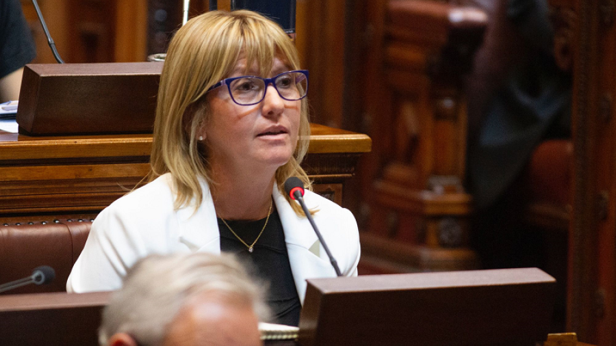 Diputada Lustemberg