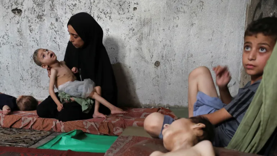 hambruna gaza