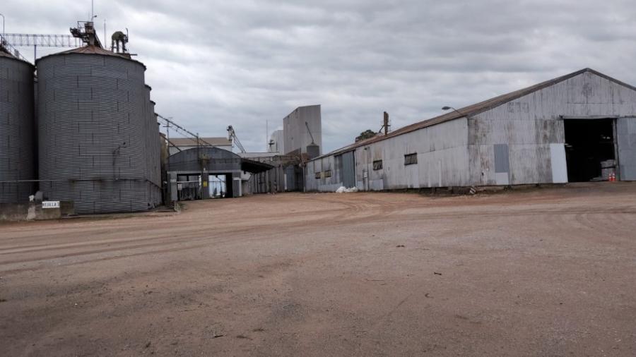 Planta de silos de Copagran en Yung