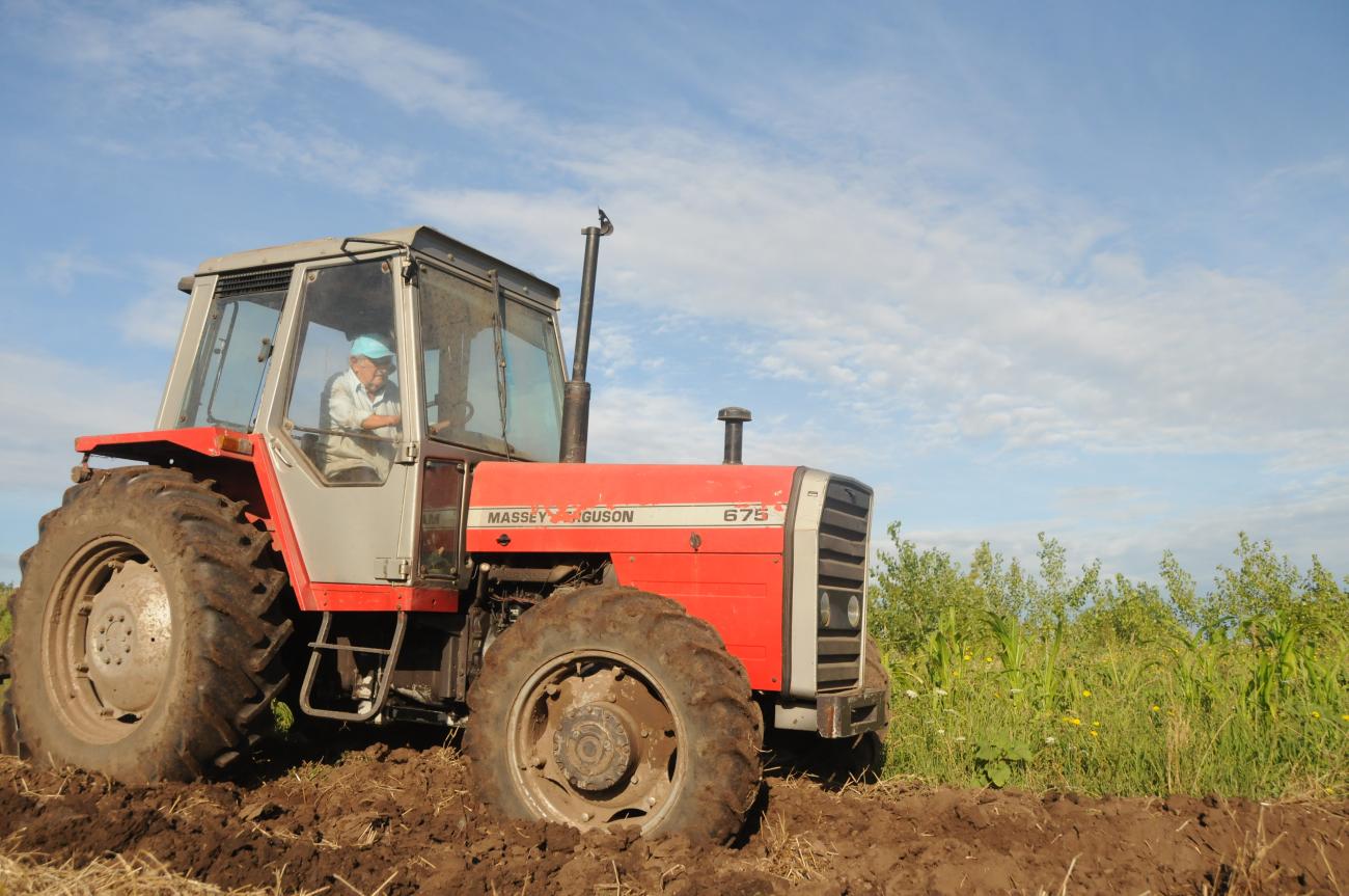 Pepe Mujica preparando la tierra