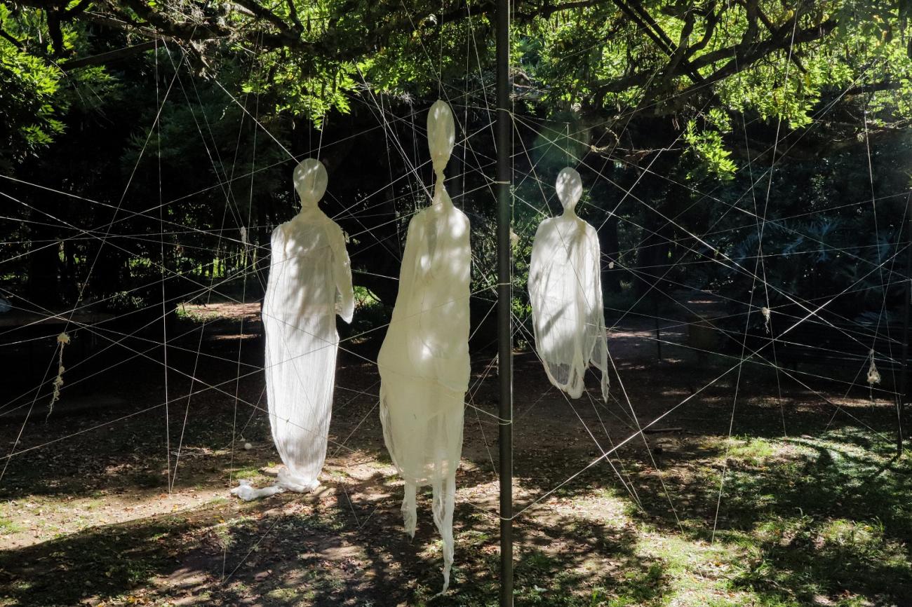 Entramadas en el Parque Capurro. Santa Lucia. Canelones.