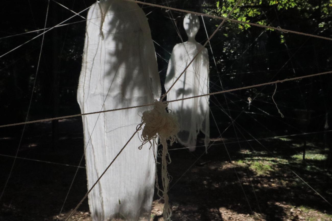 Entramadas en el Parque Capurro. Santa Lucia. Canelones.