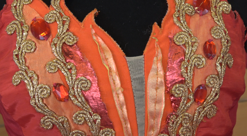 Conferencia de Prensa. El Pájaro de Fuego. Foto de Roberto Saban