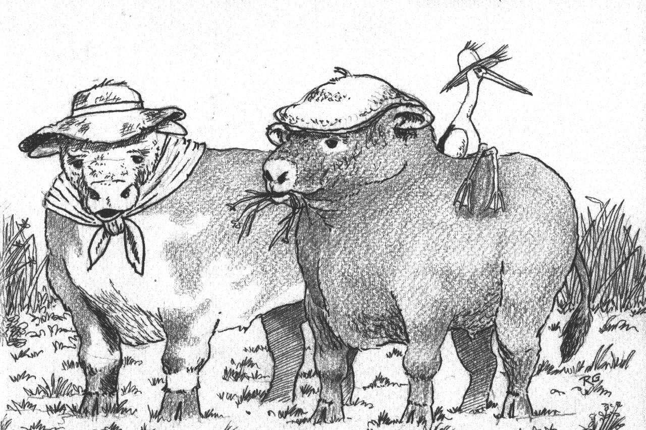 BICHOS, ELLOS Y NOSOTROS