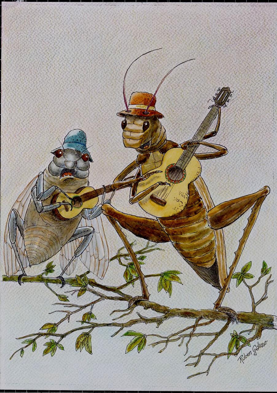 BICHOS, ELLOS Y NOSOTROS