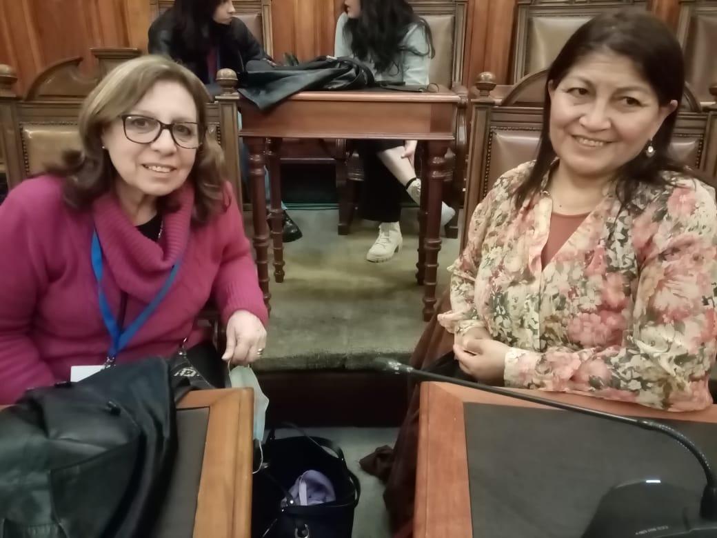 Ana Olivera y Elisa Loncon