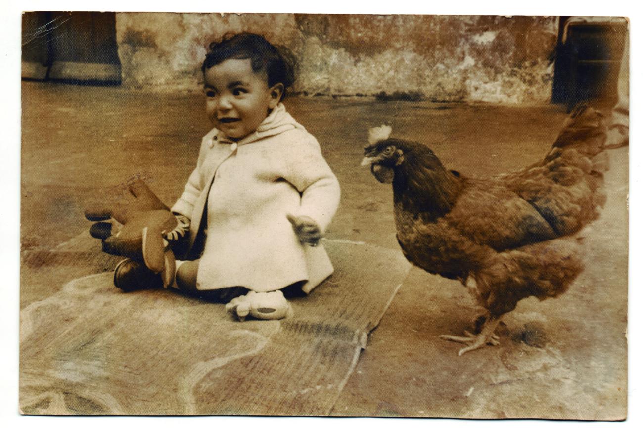 Medio Mundo. Familia Celestino