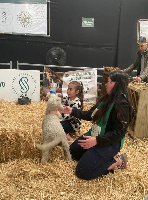Guardería de corderos guachos