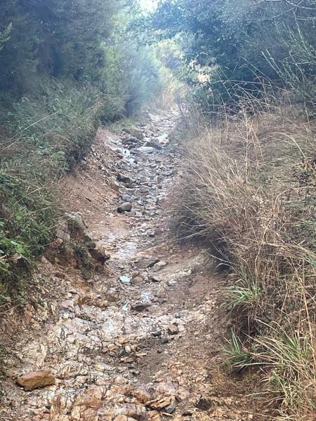 Camino a Santiago