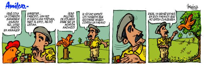 Conexión 